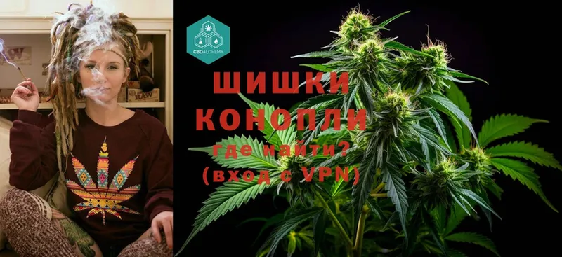 МАРИХУАНА Ganja  купить наркотики цена  hydra ССЫЛКА  Лесосибирск 